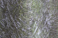 Madeley Heath fibreglass roof work